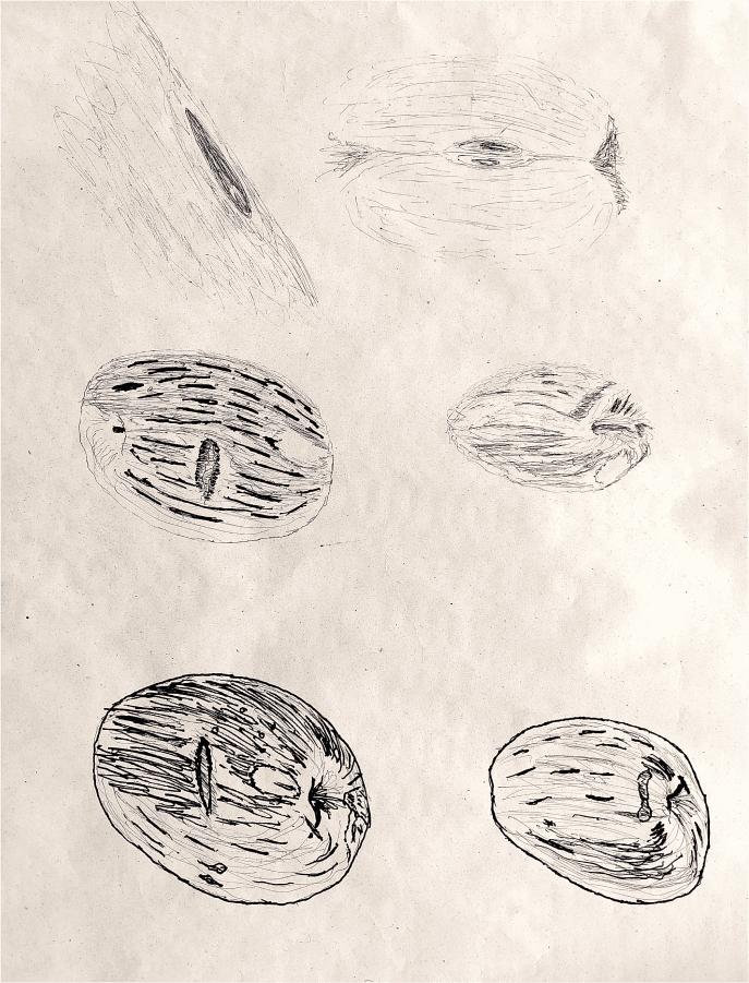 Sheet 1